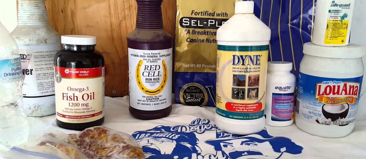 American bully vitamins