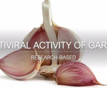 Antiviral Activity of Garlic + Garlic Immune Concoction Recipe (Rocket Fuel)