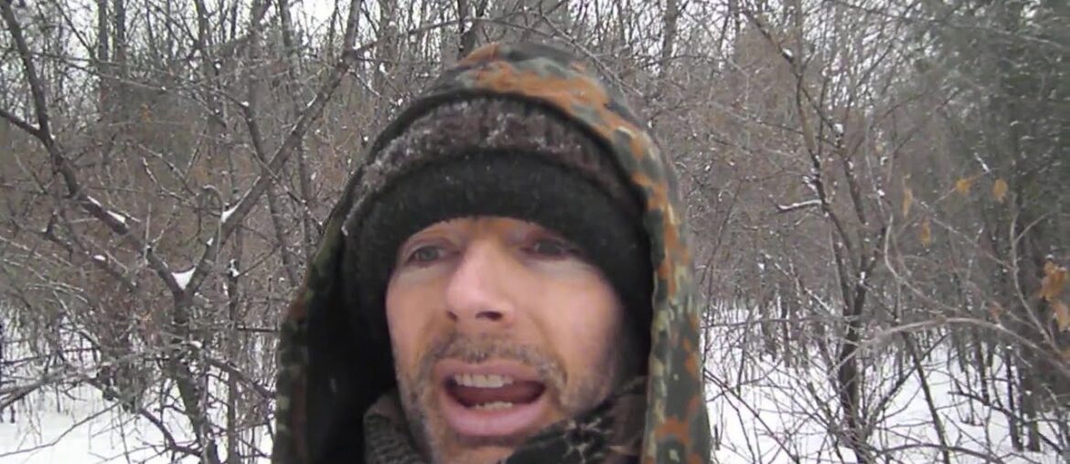 The Effects of Sugar, Vitamin C, and Exercise on Your Immune System