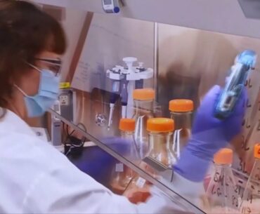 Coronavirus antibodies do not protect against new variants, expert says