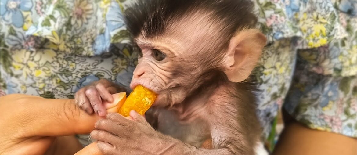 Get More Vitamin C !! Mom feeding orange to little adorable Toto get vitamin C for good health.