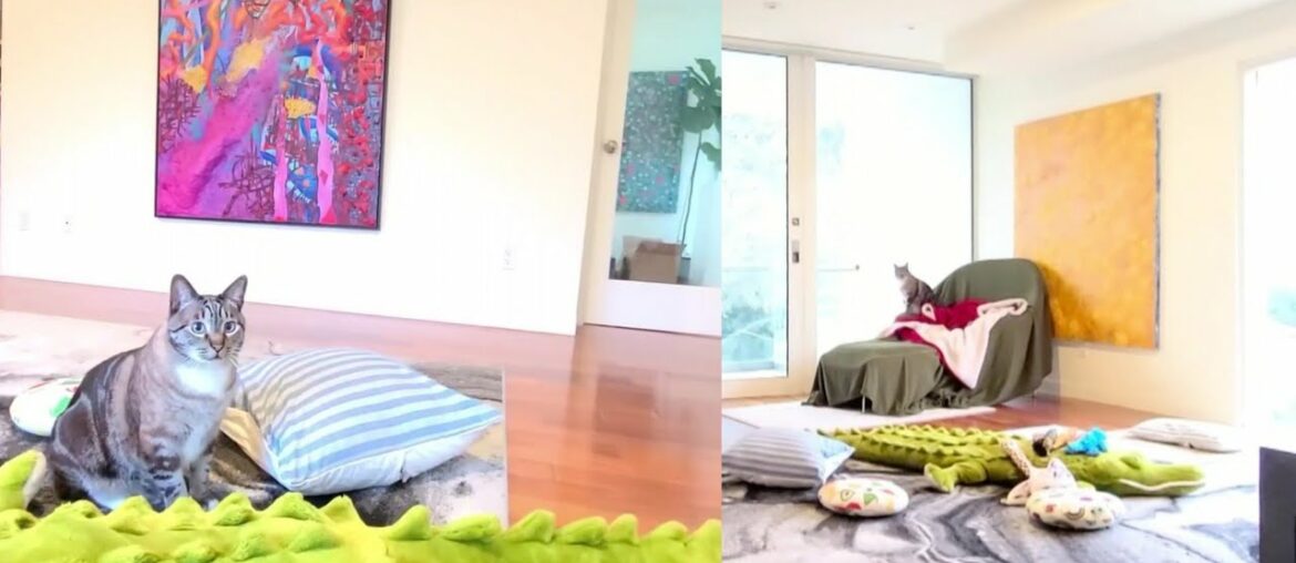 Wellness CORE Grain-Free Beef, Venison & Lamb Formula Canned Gourmet Wet Cat Food