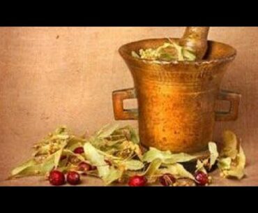 Coronavirus Health Advice | Boost Your Immune System