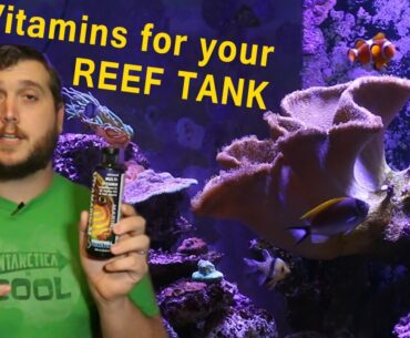 VITAMINS FOR YOUR REEF TANK!