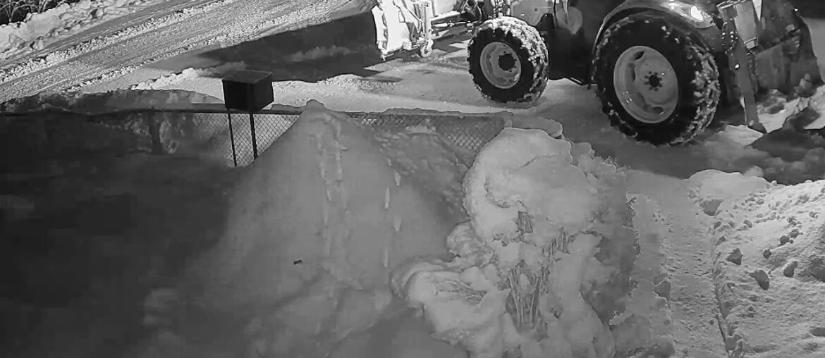 2021 01 24   Coronavirus Purge, big style