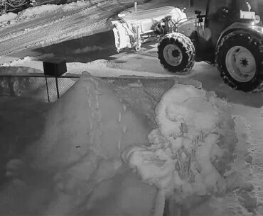 2021 01 24   Coronavirus Purge, big style