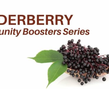 Elderberry - Immunity Booster Series Elderberry Benefits (Dr. Sebi Alkaline Diet)