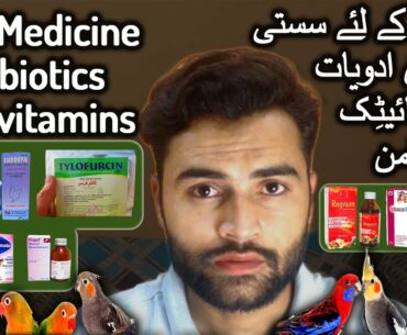 Best Medication and Vitamins for Birds/ Parrots | Best Antibiotic for Birds Parrots | BirdsWithSLMAN