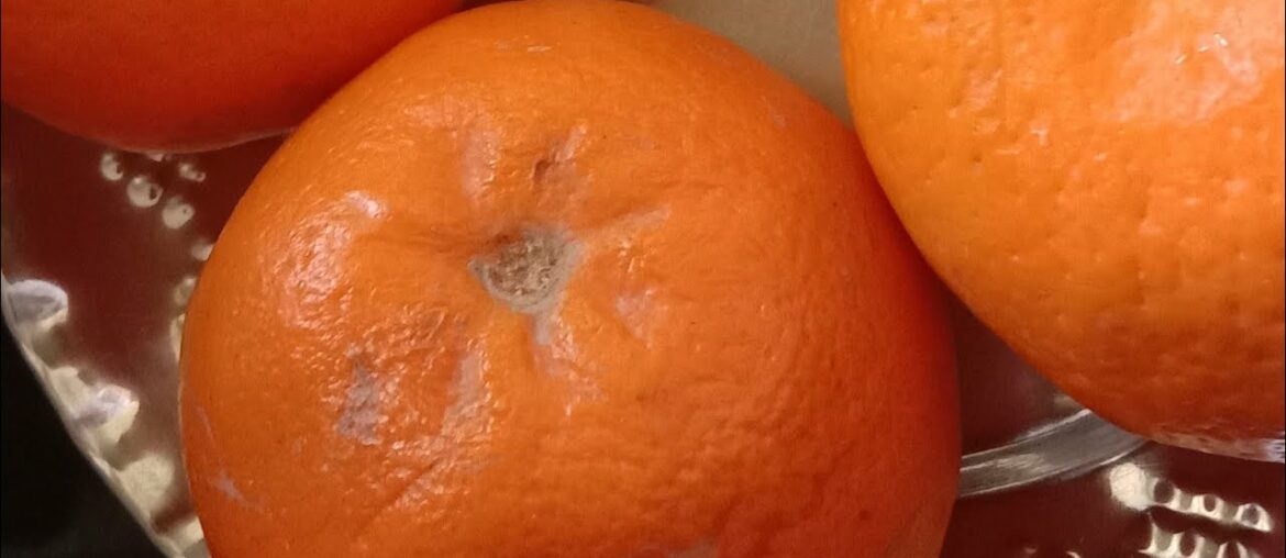 Orange fruit full of vitamin C | Subscribe my channel