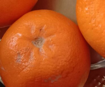 Orange fruit full of vitamin C | Subscribe my channel