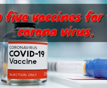 Top five vaccines for the corona virus | covid 19 | vaccines | top things