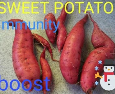 Sweet potatoes boost immunity system and has its benefits too!