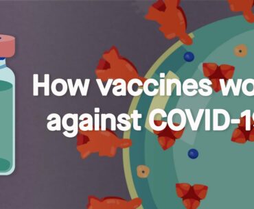 How vaccines work against COVID-19: Science, Simplified