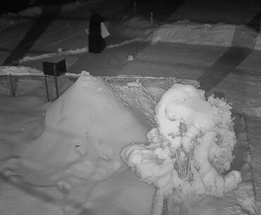 2021 01 29   The Coronavirus X-Files 14 - Agent Mully tracks the Coronavirus