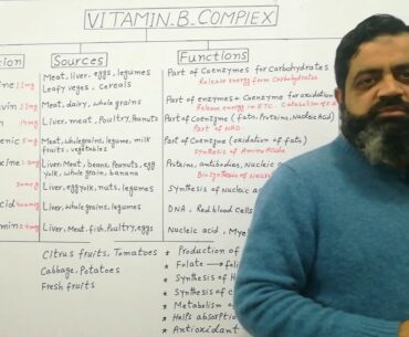 Vitamin B Complex Urdu /Hindi medium | BShons lecture |Prof Masood fuzail |Nutritional lecture