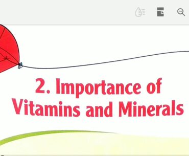 4th class BS(importance of vitamins and minerals)