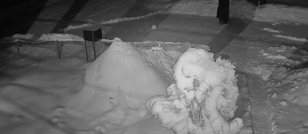 2021 01 31   The Coronavirus X-Files 15 - Agent Mully infected by the Coronavirus