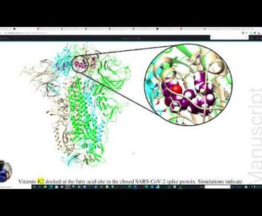 New Vitamin, Melatonin, Seaweed, Omega-3 Research into Sars-COV-2. Plus DATA track vac to mortality