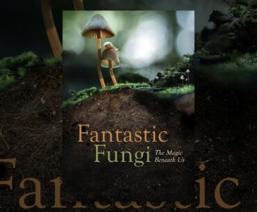 Fantastic Fungi