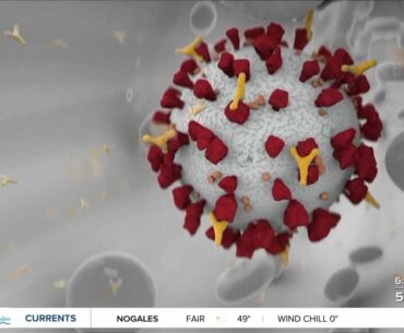 What side effects to expect after a coronavirus vaccine dose