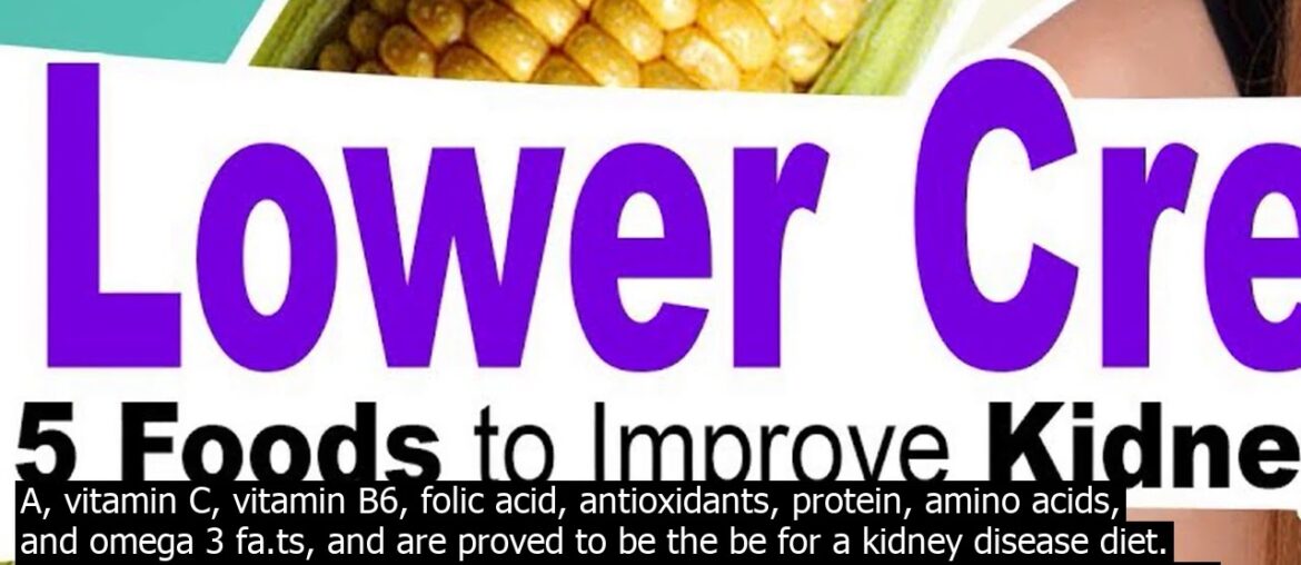 Kidney diet essentials fast recovery   here are  of the be foods for people with kidney