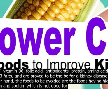 Kidney diet essentials fast recovery   here are  of the be foods for people with kidney