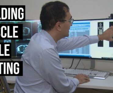 Autophagy VS Muscle: what you should prioritize