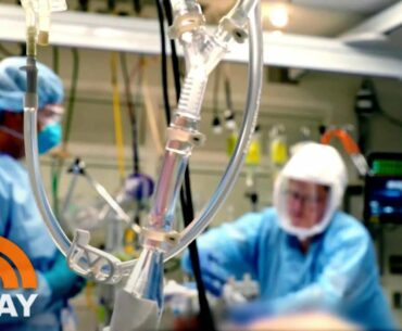 US Reaches 500,000 Coronavirus Deaths Amid Debate Over Herd Immunity | TODAY