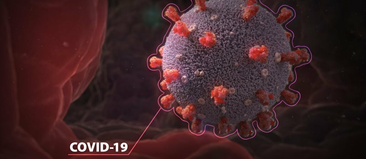 Coronavirus - COVID-19