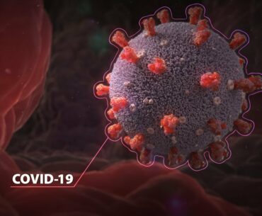 Coronavirus - COVID-19