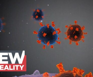 Coronavirus: How patients with weak immune systems may offer clues into variants