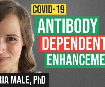 What is Antibody Dependent Enhancement? Does it Occur With COVID 19 Vaccines?