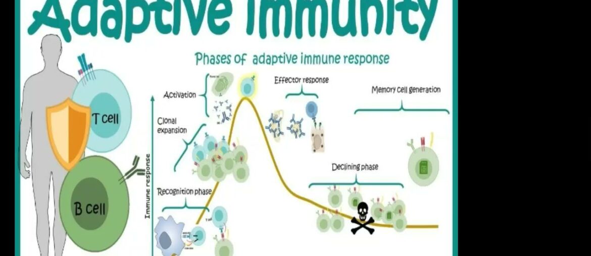 VITAMIN D IMMUNOLOGY: COVID-19 DISEASE DEFENCE MECHANISMS