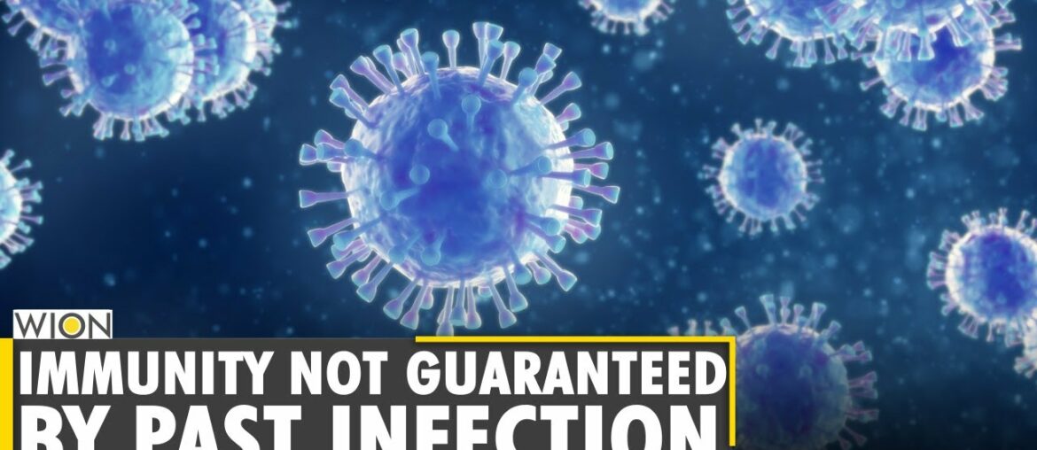 Study: Past COVID-19 infection does not fully protect against reinfection | Immunity | Vaccination