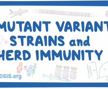 COVID-19 mutant variant strains and herd immunity