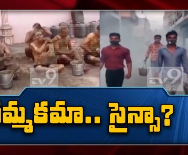 Covid-19: Gujarat doctors warn against cow dung 'therapy' to boost immunity - TV9