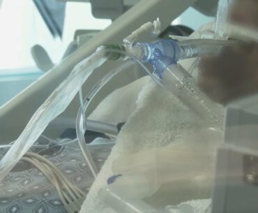 Does the COVID-19 vaccine benefit those with a compromised immune system?