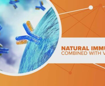 Immunity against COVID-19 could last years for some individuals, scientists say