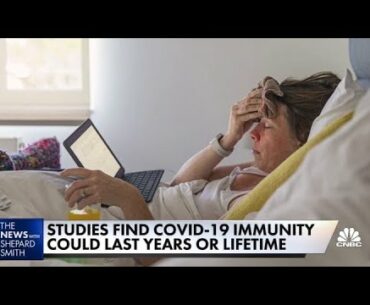 New studies find Covid-19 immunity could last years or a lifetime