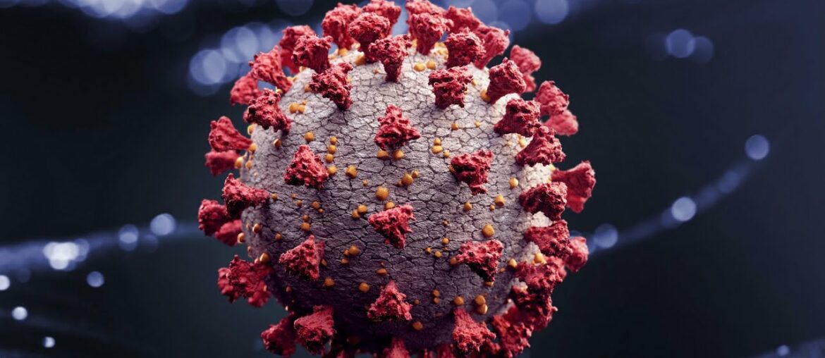 A look at coronavirus immunity for those who contracted COVID-19, plus FDA gives EUA for anit