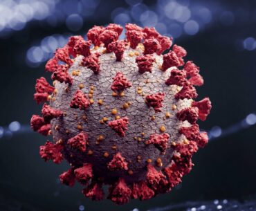 A look at coronavirus immunity for those who contracted COVID-19, plus FDA gives EUA for anit