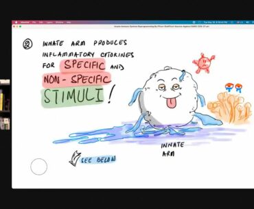 Innate Immune System Reprogramming By Pfizer-BioNTech Vaccine Against SARS-COV-2?