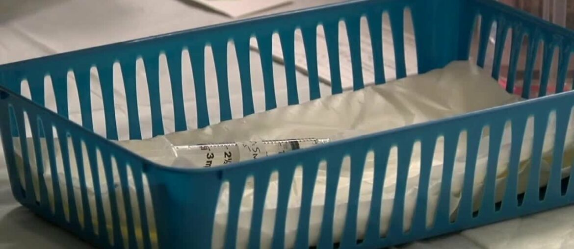 Study shows mild COVID-19 induced lasting antibody protection