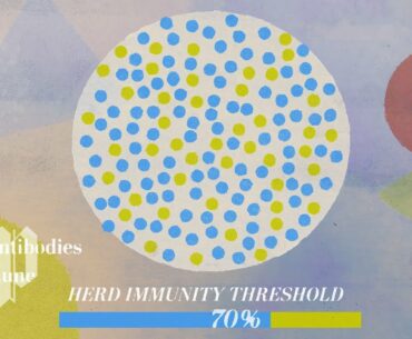 The power of natural immunity vs. herd immunity for coronavirus
