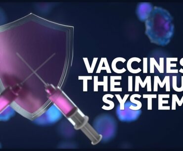 How Vaccines Work with Your Immune System