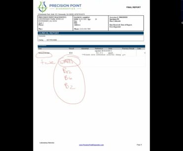 B Vitamin Patterns in the Precision Point Diagnostics Wellness Panel