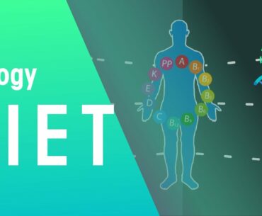 Balanced diet | Health | Biology | FuseSchool