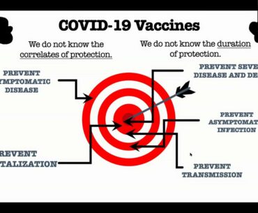 Immunity to COVID-19 and the impact of vaccines on antibodies