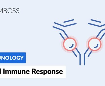 Immune Response to Viruses: How the Body Reacts