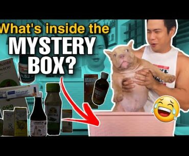 KASYA SI CRAZY BOSXZ SA BOX HAHAHA ! VITAMINS & SUPPLEMENTS FOR AMERICAN BULLY & EXOTIC BULLY